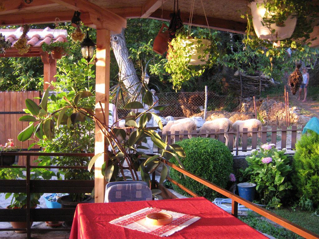 Elshani Risto'S Guest House מראה חיצוני תמונה