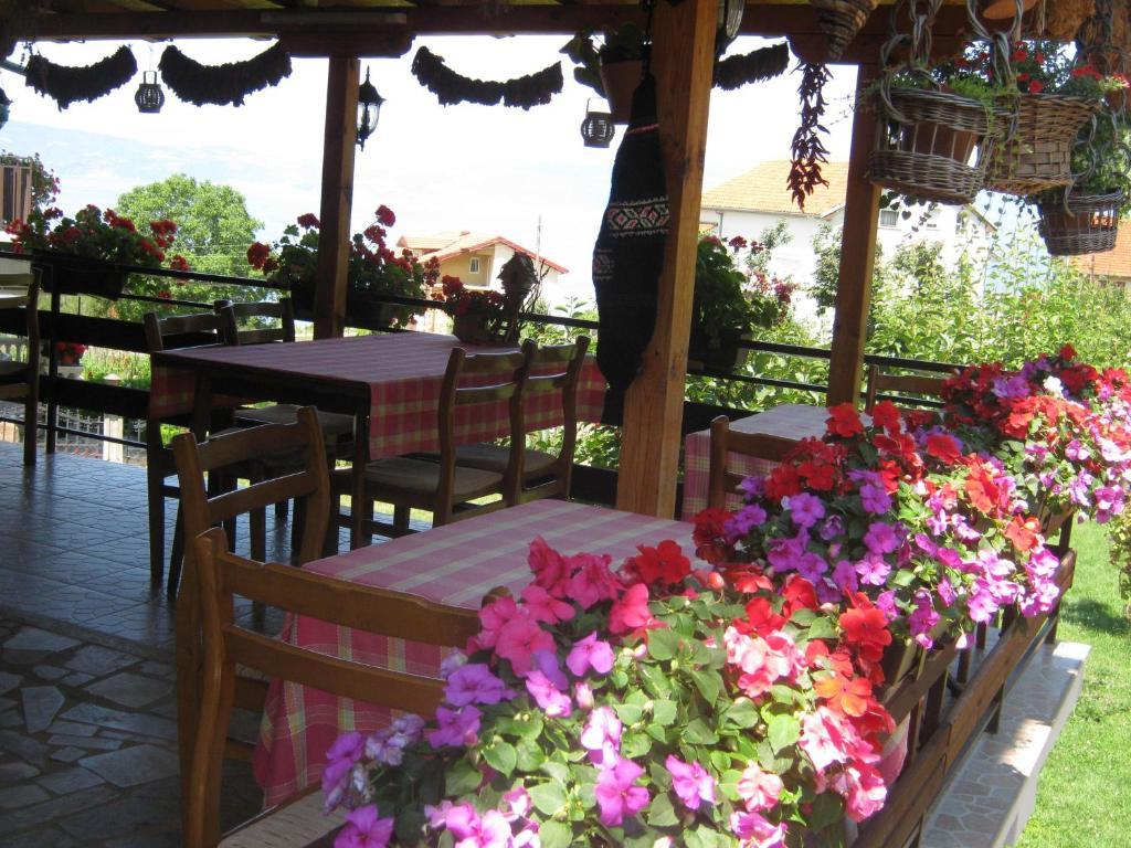 Elshani Risto'S Guest House מראה חיצוני תמונה