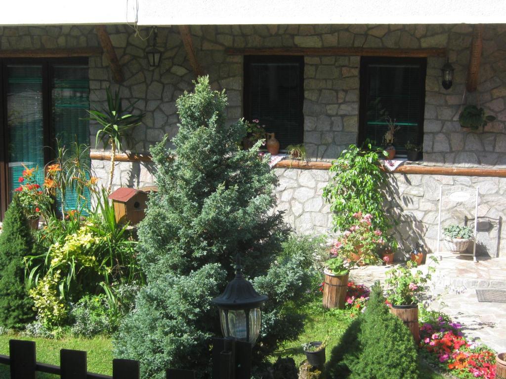 Elshani Risto'S Guest House חדר תמונה