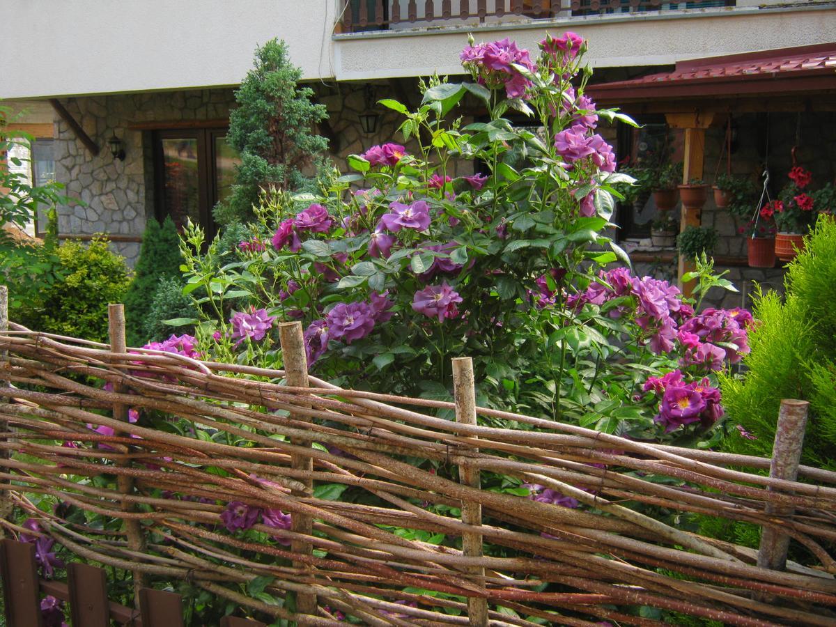 Elshani Risto'S Guest House מראה חיצוני תמונה